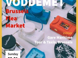 Standplaats VODDEMET 29/01/2023 (per lopende meter)